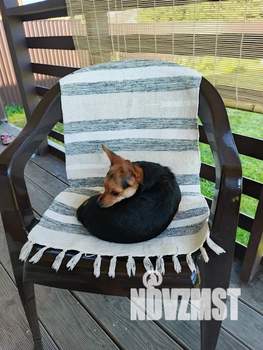 Дом 55м², 2-этажный, посуточно,