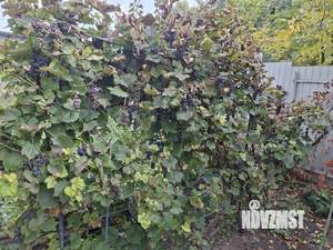 Дом 90м², 2-этажный, участок 4 сот.