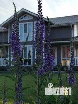 Дача 124м², 2-этажный, участок 12 сот.