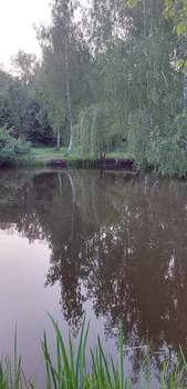 Дом 42м², 2-этажный, участок 7 сот.