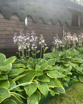 Дача 65м², 2-этажный, участок 8 сот.