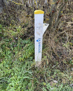 Дом 136м², 2-этажный, участок 8 сот.