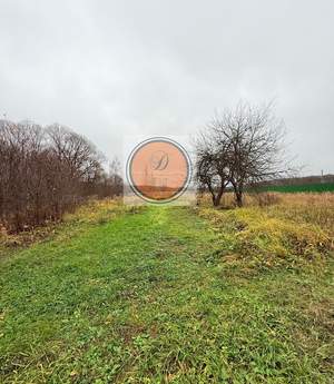 Дом 80м², 1-этажный, участок 23 сот.