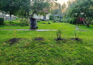 Дом 55м², 2-этажный, участок 9 сот.