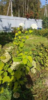 Дом 42м², 2-этажный, участок 7 сот.