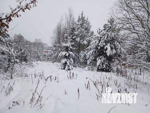 Дом 100м², 2-этажный, участок 8 сот.