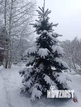 Дом 150м&sup2;, 2-этажный, посуточно, 