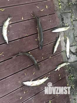 Дом 220м&sup2;, 2-этажный, на длительный срок, 