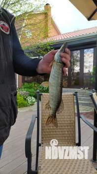 Дом 220м&sup2;, 2-этажный, на длительный срок, 