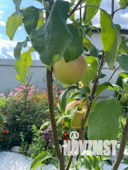 Дом 110м², 2-этажный, посуточно, 