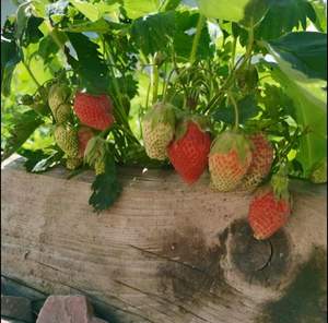 Дом 135м&sup2;, 2-этажный, на длительный срок, 