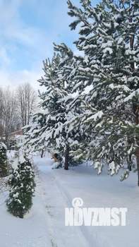 Коттедж 300м², 3-этажный, на длительный срок, 