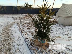 Дом 70м&sup2;, 1-этажный, посуточно, 