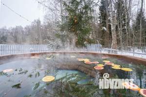 Дом 100м², 1-этажный, посуточно, 