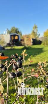 Дом 110м², 1-этажный, посуточно, 