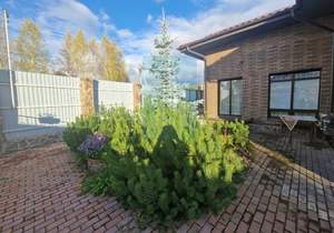 Дом 341м², 2-этажный, на длительный срок, 