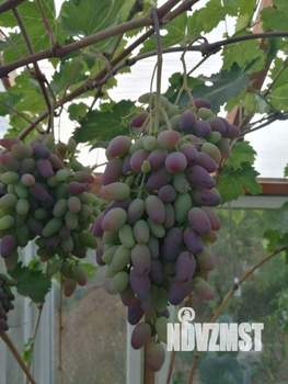 Дом 88м&sup2;, 2-этажный, участок 8 сот.  