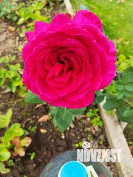 Дом 31м&sup2;, 2-этажный, участок 8 сот.  