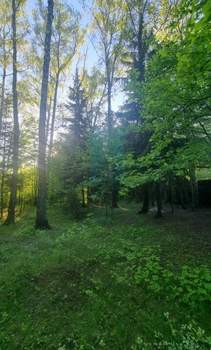Дача 70м², 1-этажный, участок 25 сот.  