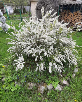 Дом 90м&sup2;, 2-этажный, участок 13 сот.  