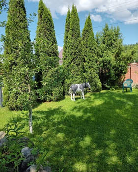 Дом 90м&sup2;, 2-этажный, участок 13 сот.  