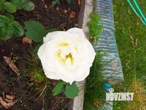 Дом 31м&sup2;, 2-этажный, участок 8 сот.  