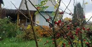 Дом 49м², 2-этажный, участок 4 сот.  