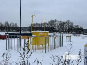 Дом 100м&sup2;, 1-этажный, участок 6 сот.  