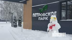 Дом 250м&sup2;, 2-этажный, участок 10 сот.  