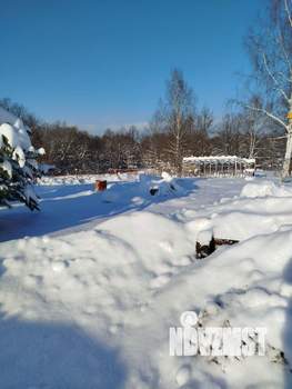 Дом 98м&sup2;, 2-этажный, участок 40 сот.  