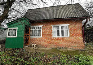 Дом 46м&sup2;, 2-этажный, участок 4 сот.  