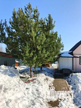 Дом 110м&sup2;, 2-этажный, участок 10 сот.  