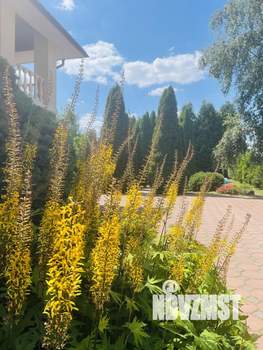 Коттедж 220м&sup2;, 3-этажный, участок 38 сот.  