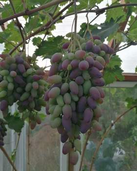 Дом 88м&sup2;, 2-этажный, участок 8 сот.  