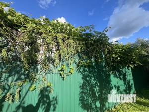 Дом 200м&sup2;, 2-этажный, участок 13 сот.  