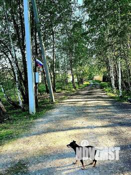 Дом 123м&sup2;, 2-этажный, участок 6 сот.  