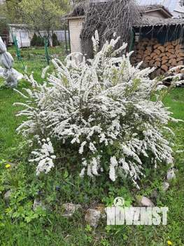 Дом 90м&sup2;, 2-этажный, участок 13 сот.  