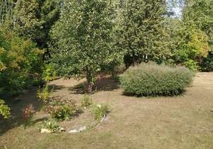 Дача 28м², 2-этажный, участок 6 сот.  