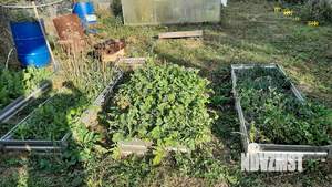 Дом 30м&sup2;, 2-этажный, участок 4 сот.  