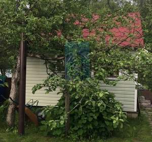 Дом 70м&sup2;, 2-этажный, участок 6 сот.  