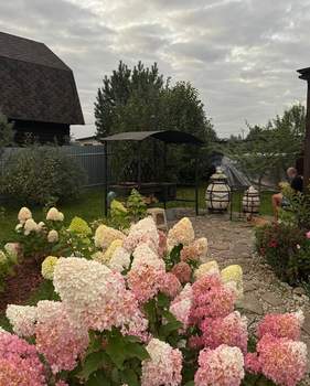 Дом 54м&sup2;, 1-этажный, участок 11 сот.  