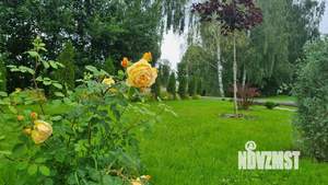 Коттедж 300м², 2-этажный, участок 23 сот.  