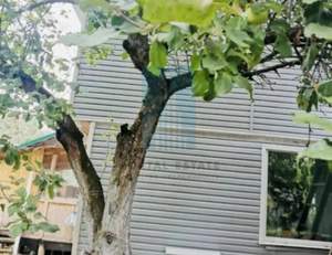 Дом 120м&sup2;, 2-этажный, участок 6 сот.  