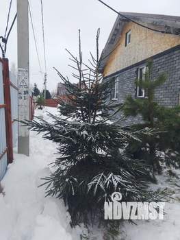 Дом 95м&sup2;, 1-этажный, участок 5 сот.  