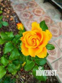 Дом 31м&sup2;, 2-этажный, участок 8 сот.  