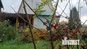 Дом 49м&sup2;, 2-этажный, участок 4 сот.  