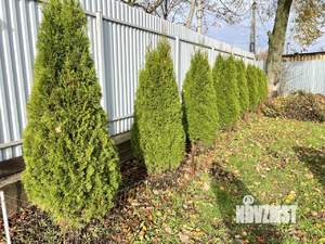 Дом 250м², 3-этажный, участок 10 сот.  