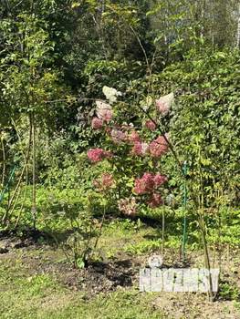 Дом 85м&sup2;, 2-этажный, участок 7 сот.  