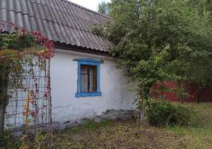 Дом 25м², 2-этажный, участок 7 сот.  