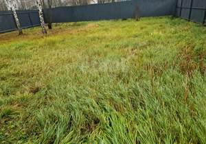 Дом 168м&sup2;, 1-этажный, участок 8 сот.  